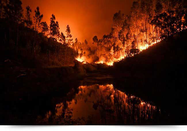 Resultado de imagem para Pesquisa revela a conexão entre mudanças climáticas, El Niño e a possibilidade de incêndios florestais mais extremos